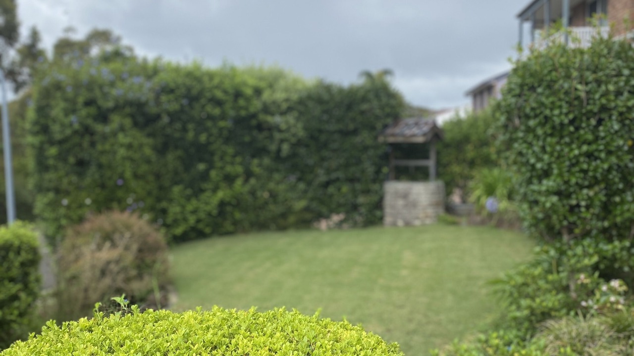 Photo of Outdoor in Frenchs Forest