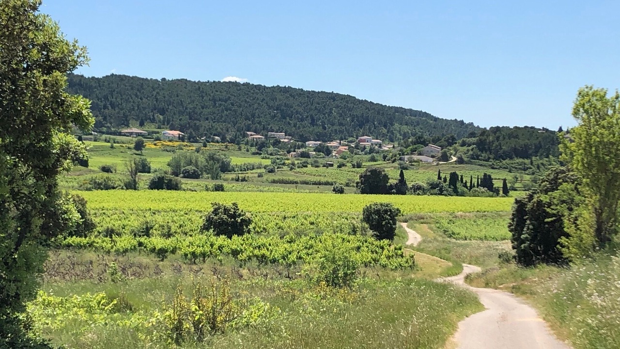 Photo of Outdoor in Montbrun-des-Corbieres