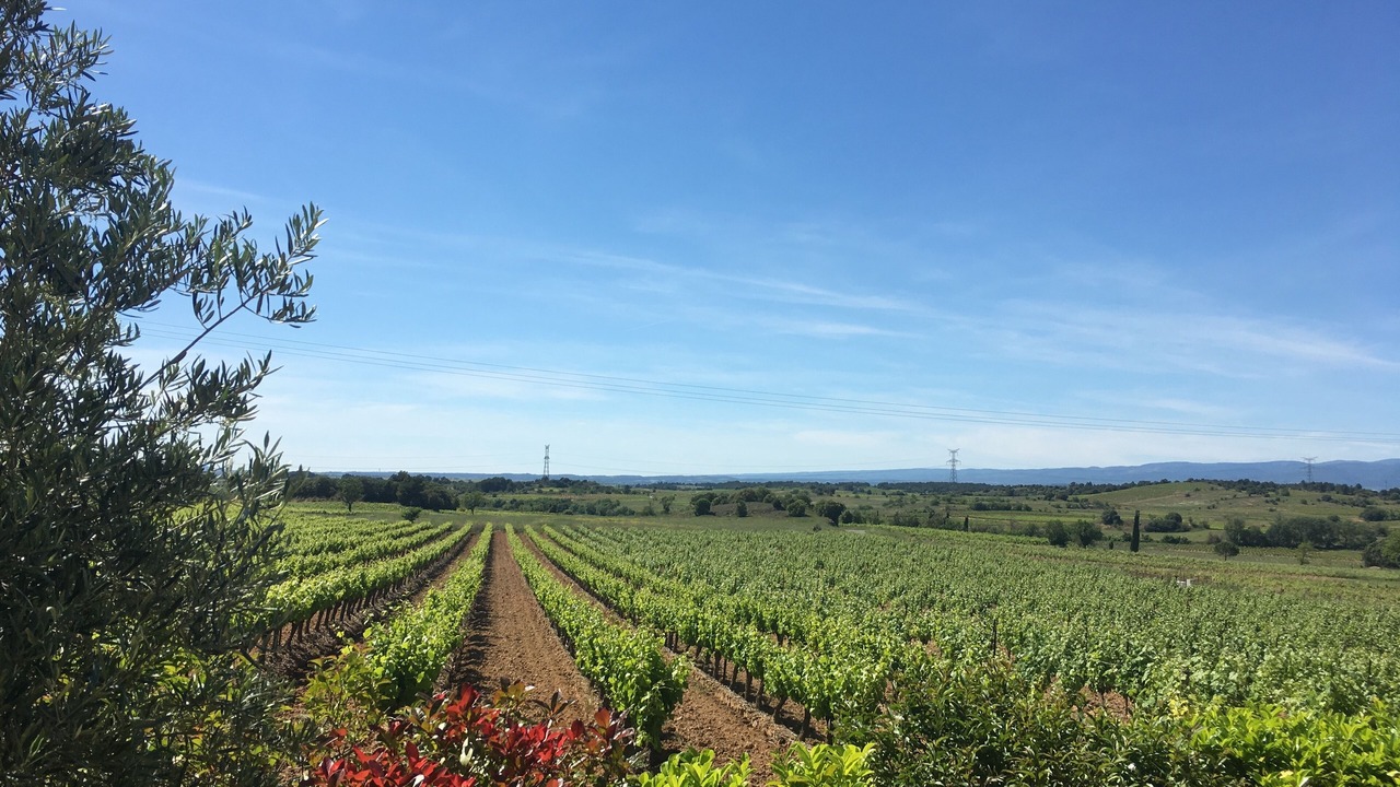 Photo of Outdoor in Montbrun-des-Corbieres