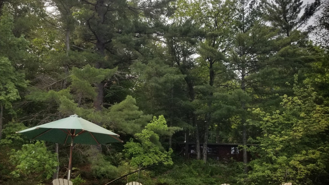 Photo of Outdoor in Severn