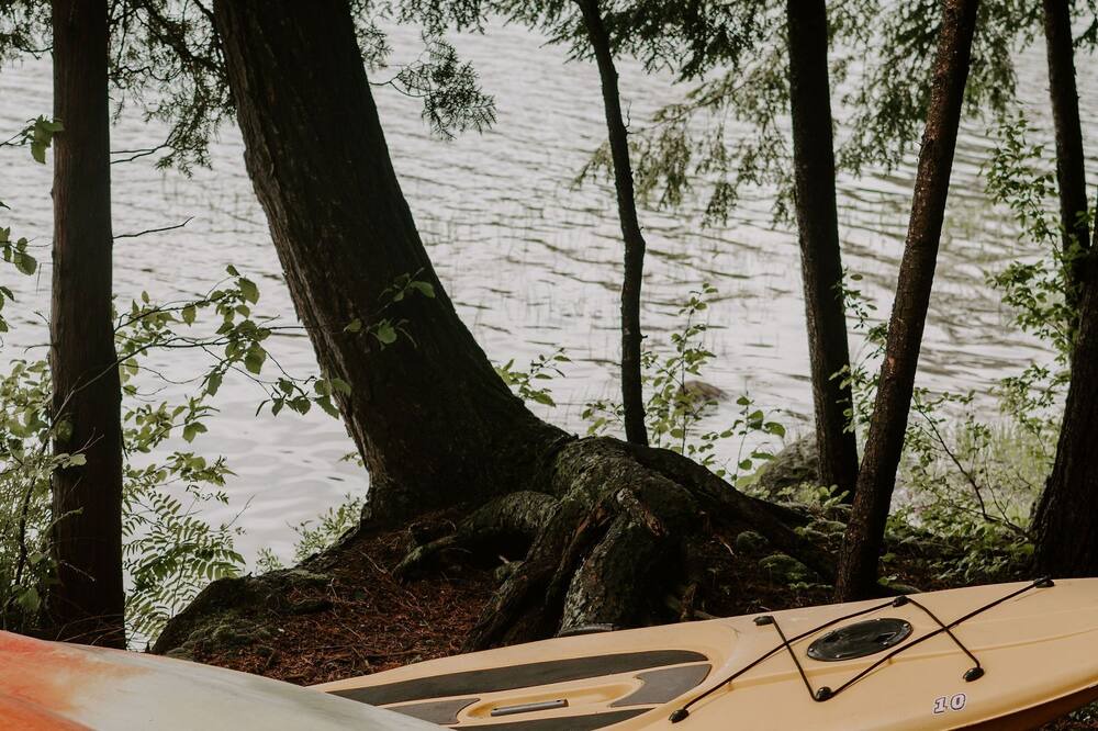Photo of Outdoor in Novar