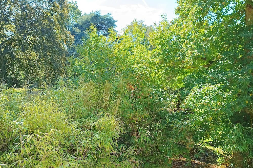 Photo of Outdoor in Mere