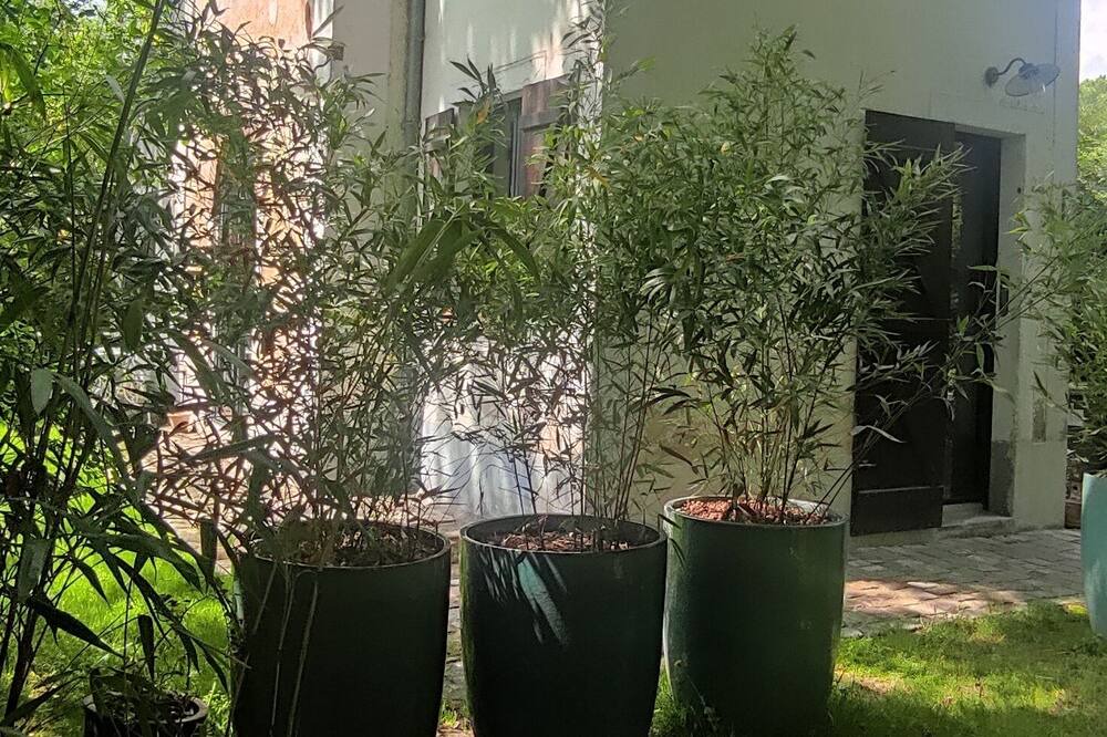 Photo of Outdoor in Mere