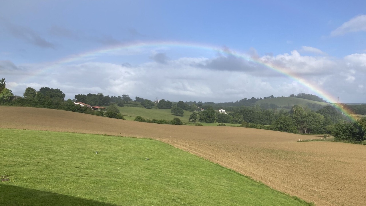 Photo of Others in Urt