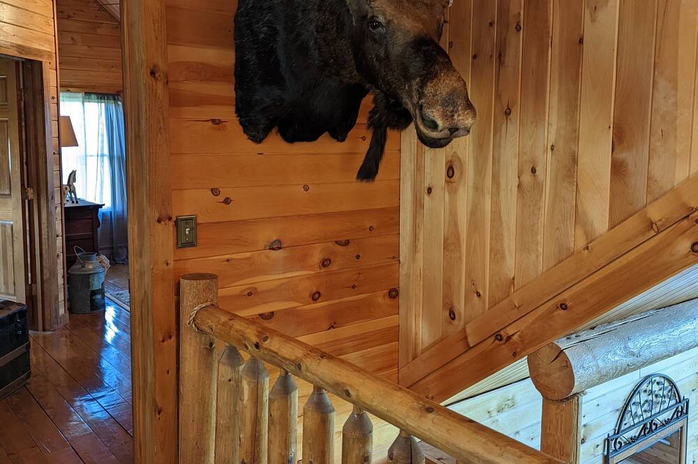 Photo of Livingroom in Perham