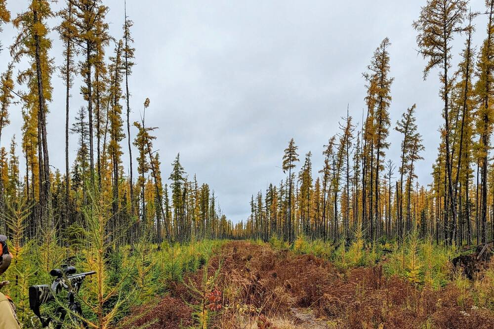 Photo of Outdoor in Perham