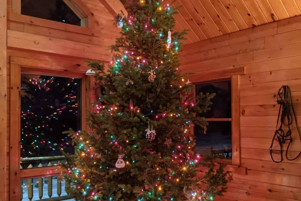 Photo of Livingroom in Perham