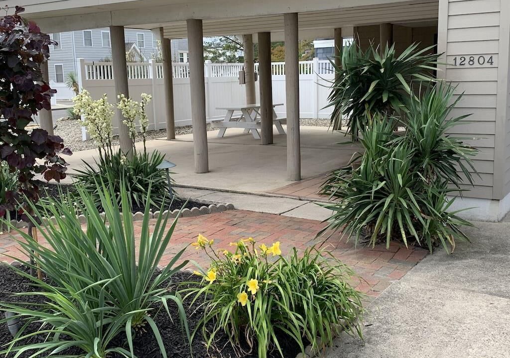 Photo of Outdoor in Beach Haven Terrace