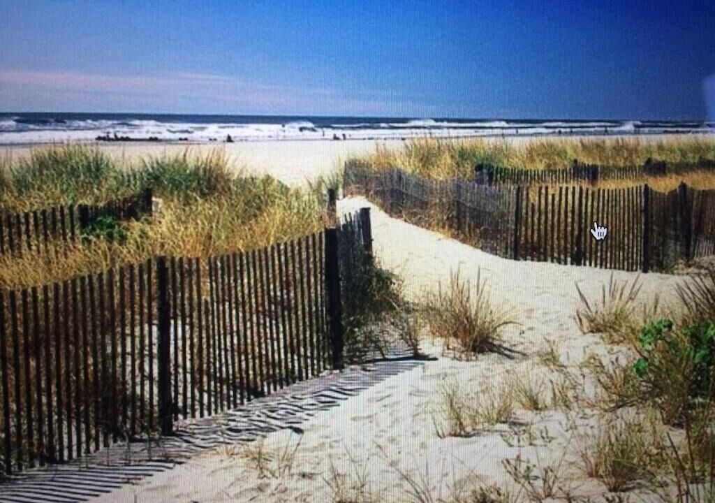 Photo of Others in Beach Haven Terrace