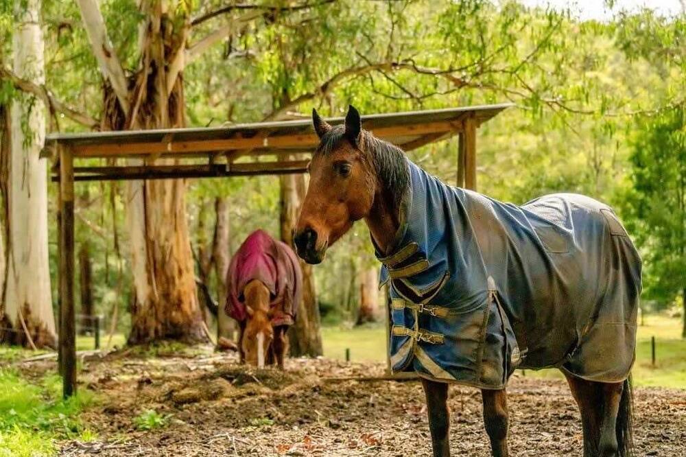 Photo of Outdoor in Castella