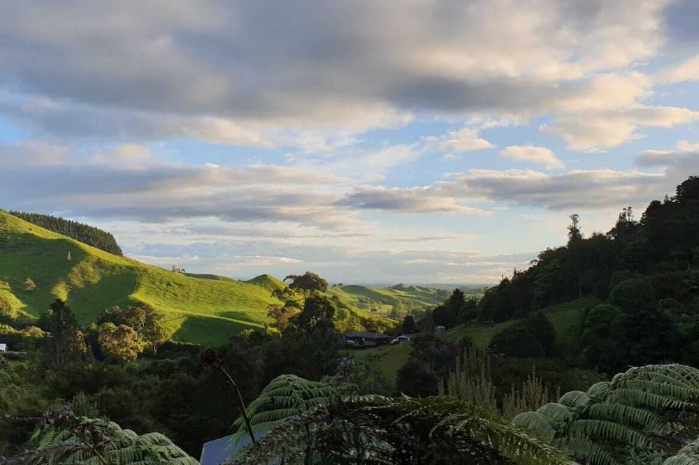 Photo of Others in Te Miro