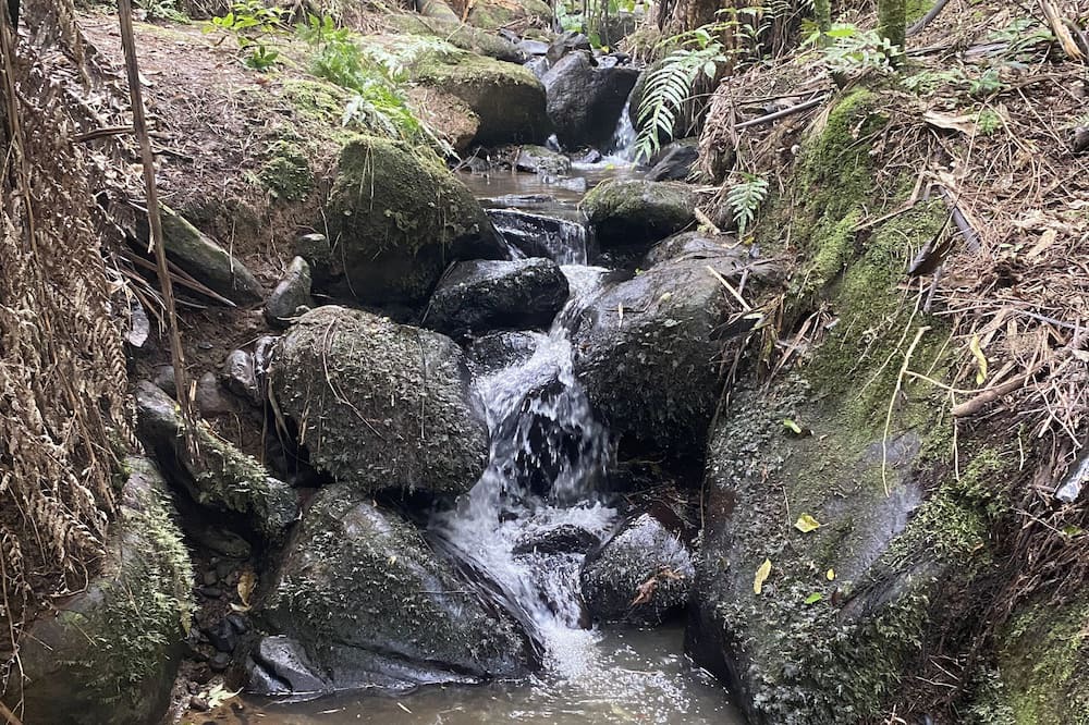 Photo of Outdoor in Te Miro