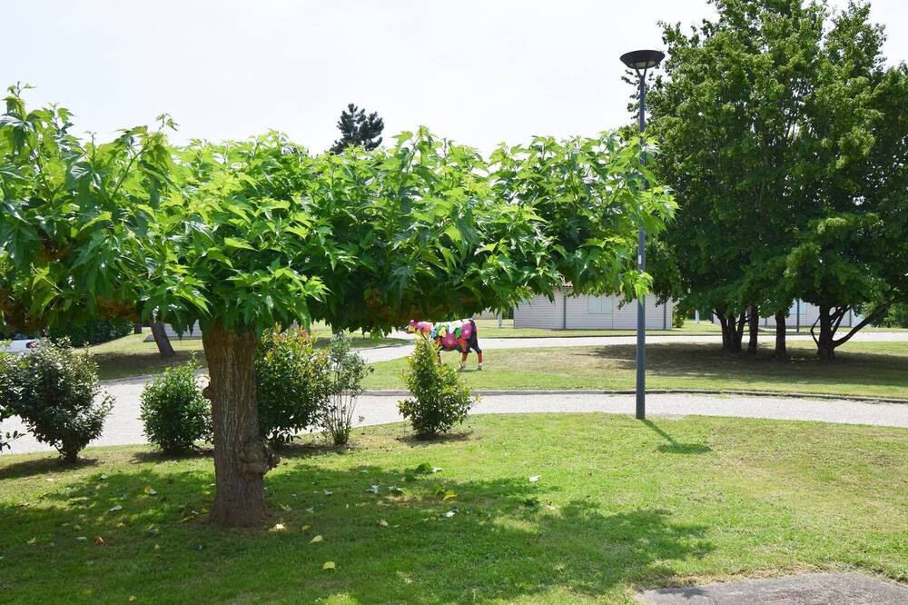 Photo of Others in Le Mas-dAgenais
