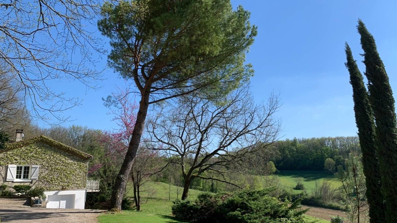Photo of Outdoor in Saint-Caprais-de-Lerm