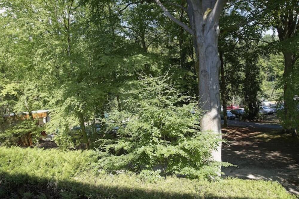 Photo of Outdoor in Gouvieux