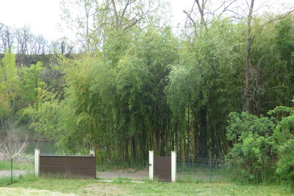 Photo of Outdoor in Albi