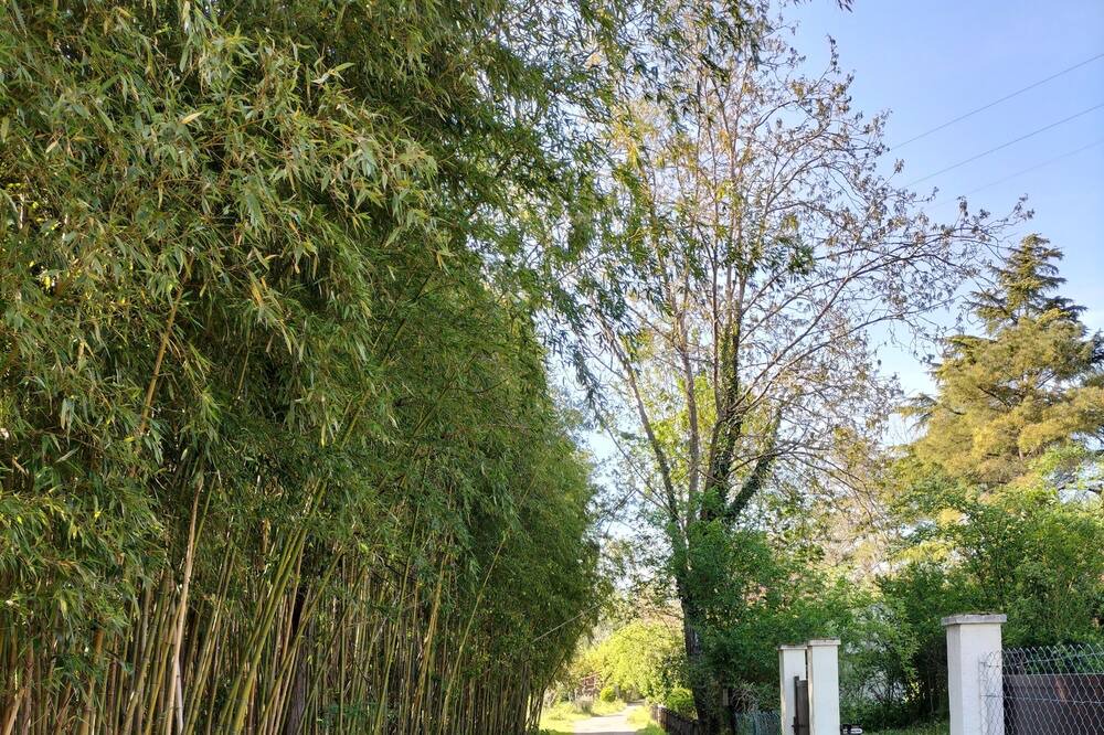 Photo of Outdoor in Albi