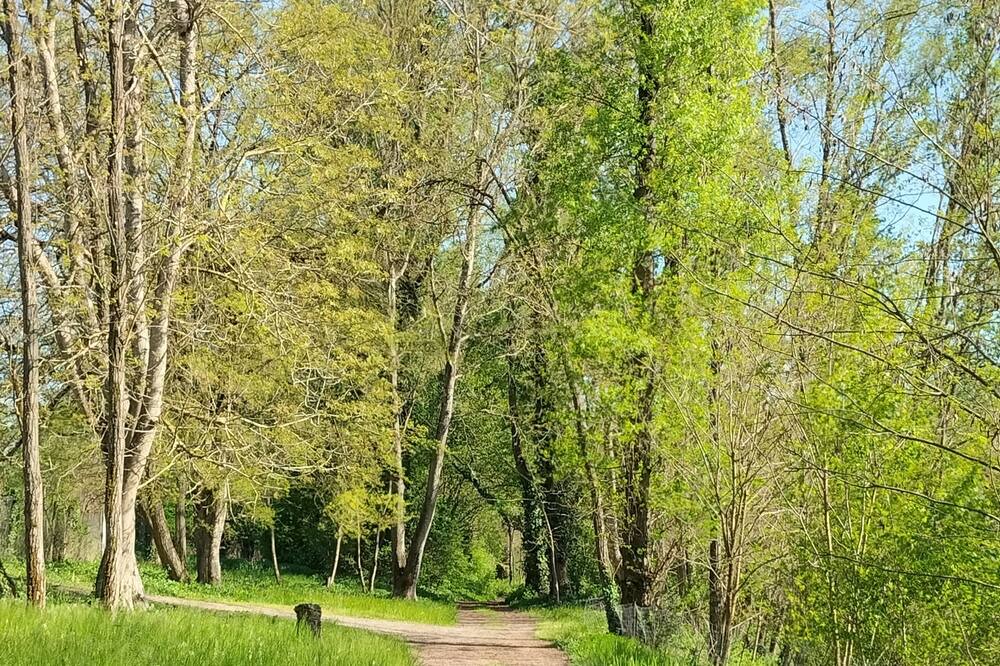 Photo of Outdoor in Albi