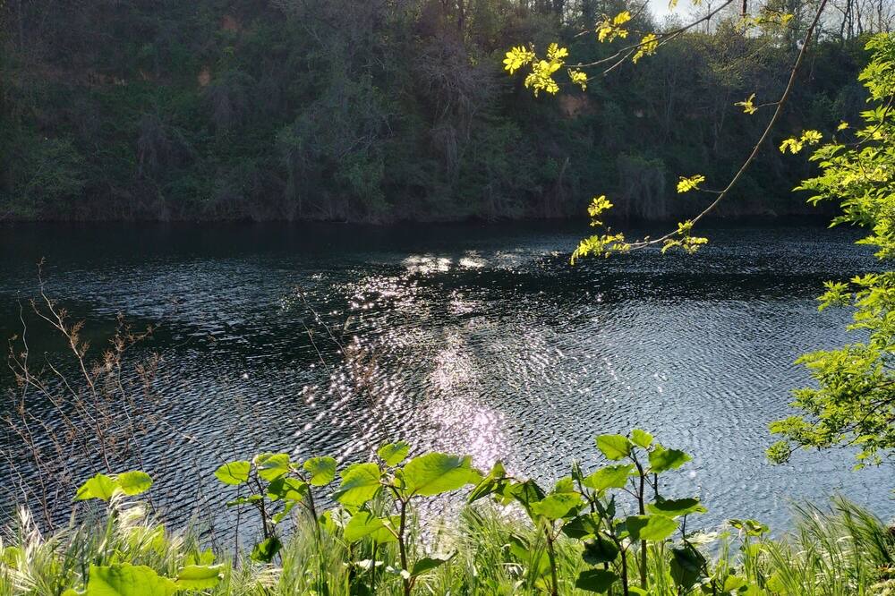 Photo of Outdoor in Albi