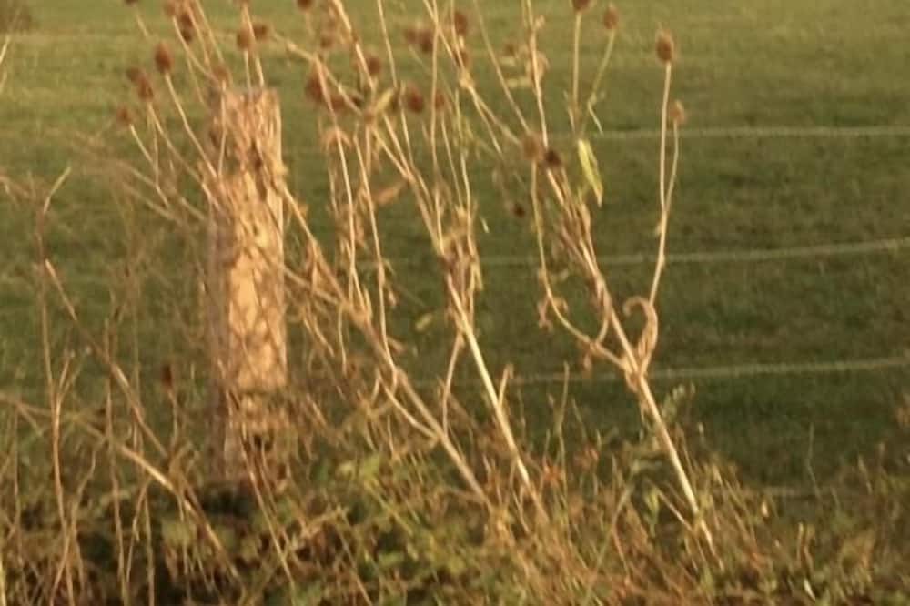 Photo of Outdoor in Nanton