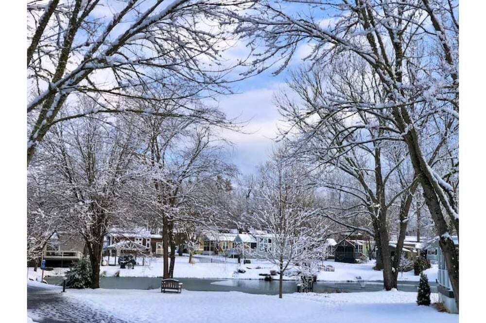Photo of Outdoor in Upward