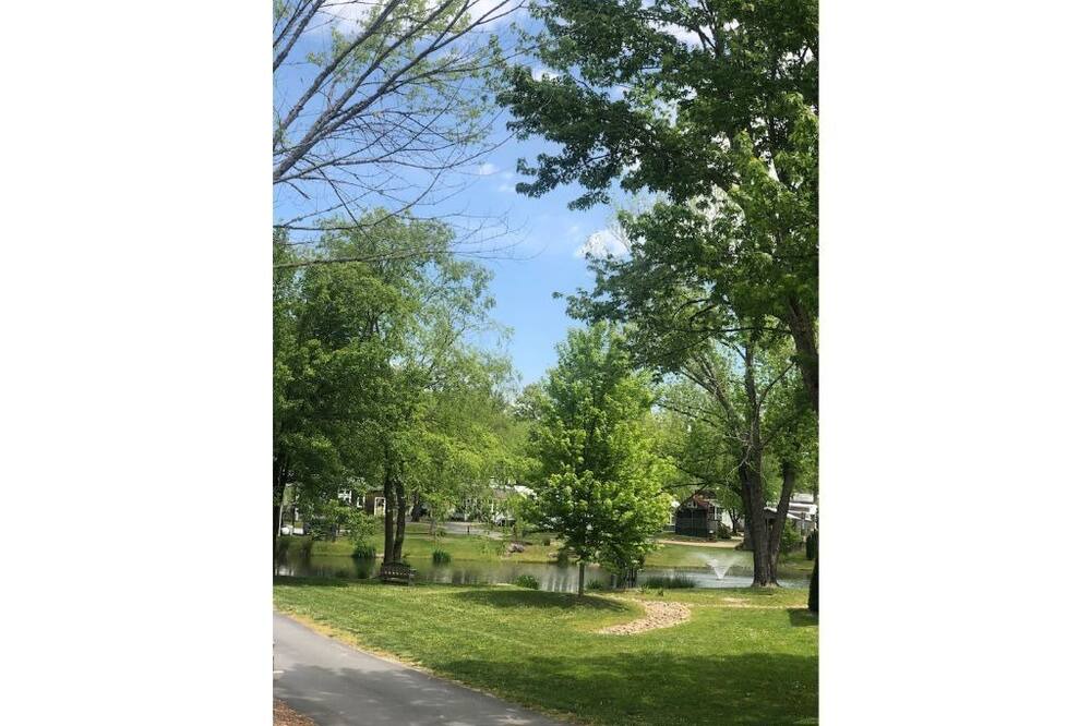 Photo of Outdoor in Upward