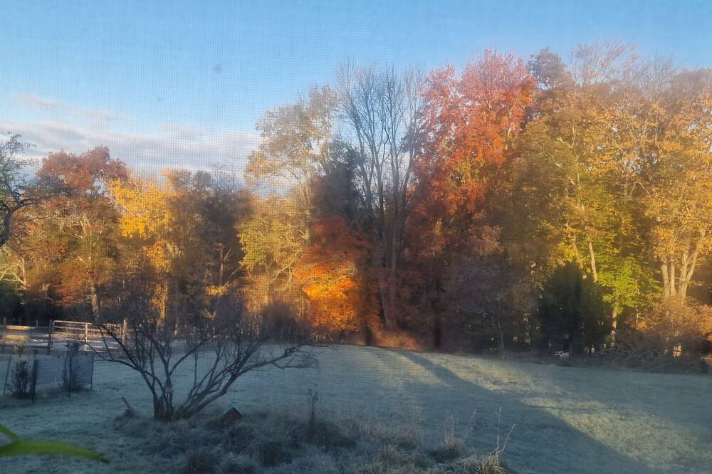 Photo of Outdoor in Cochecton