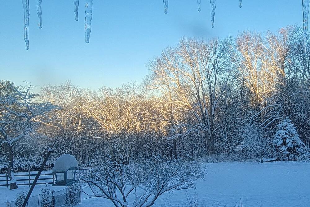 Photo of Others in Cochecton