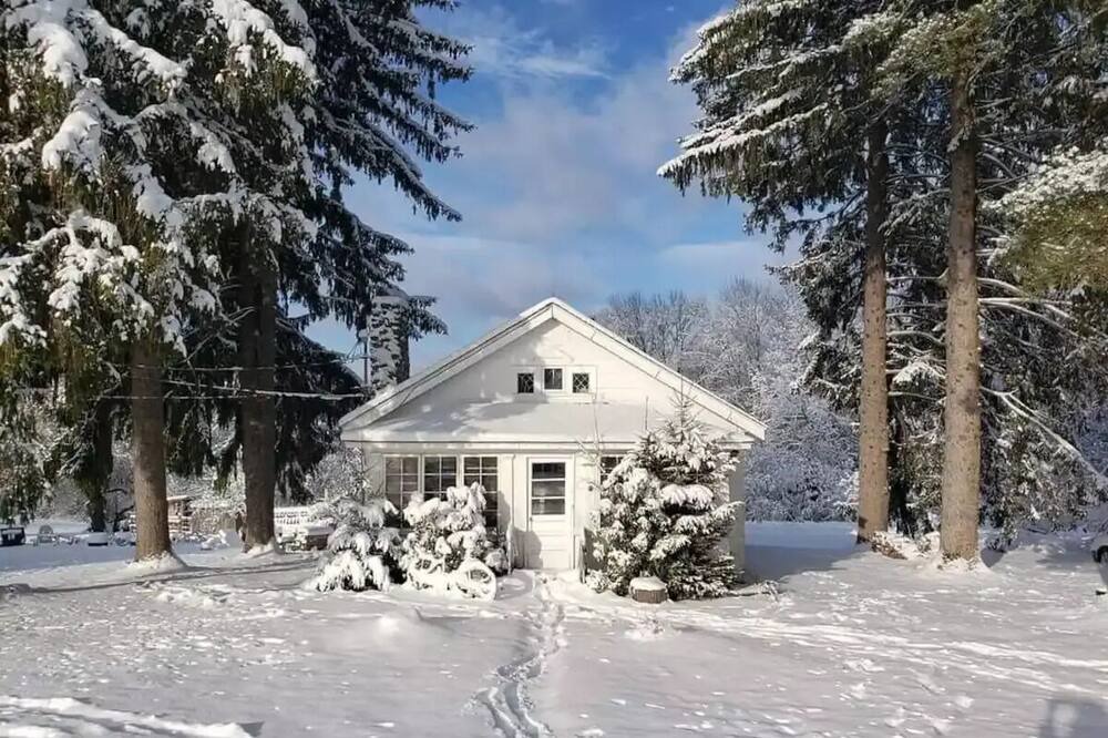 Photo of Outdoor in Cochecton
