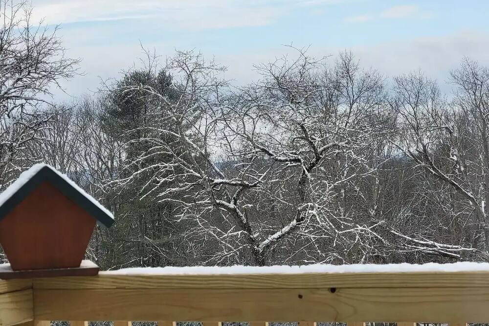 Photo of Others in Cochecton
