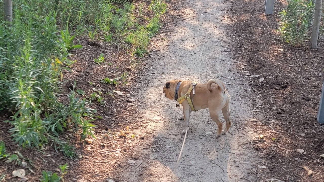 Photo of Others in Logan Square