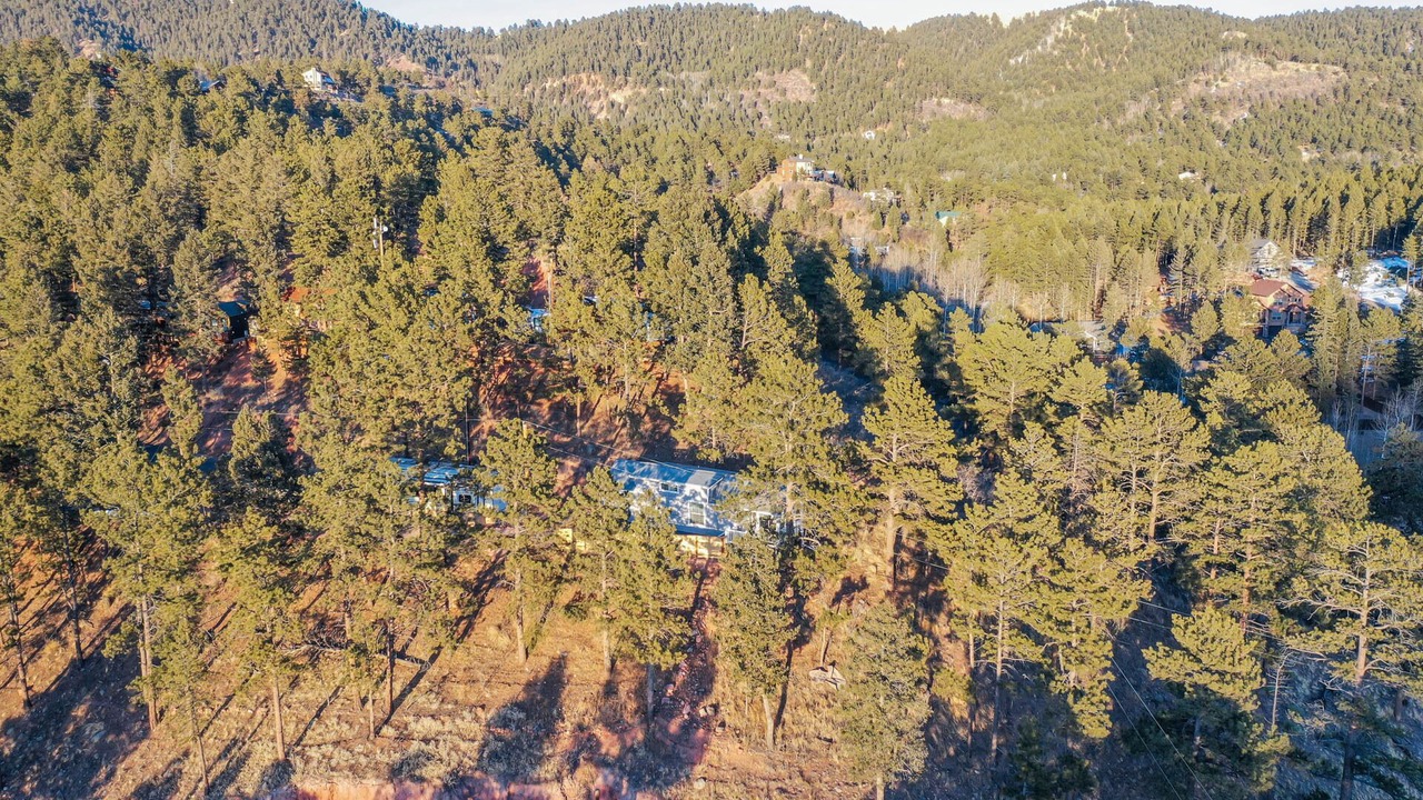 Photo of Outdoor in Woodland Park