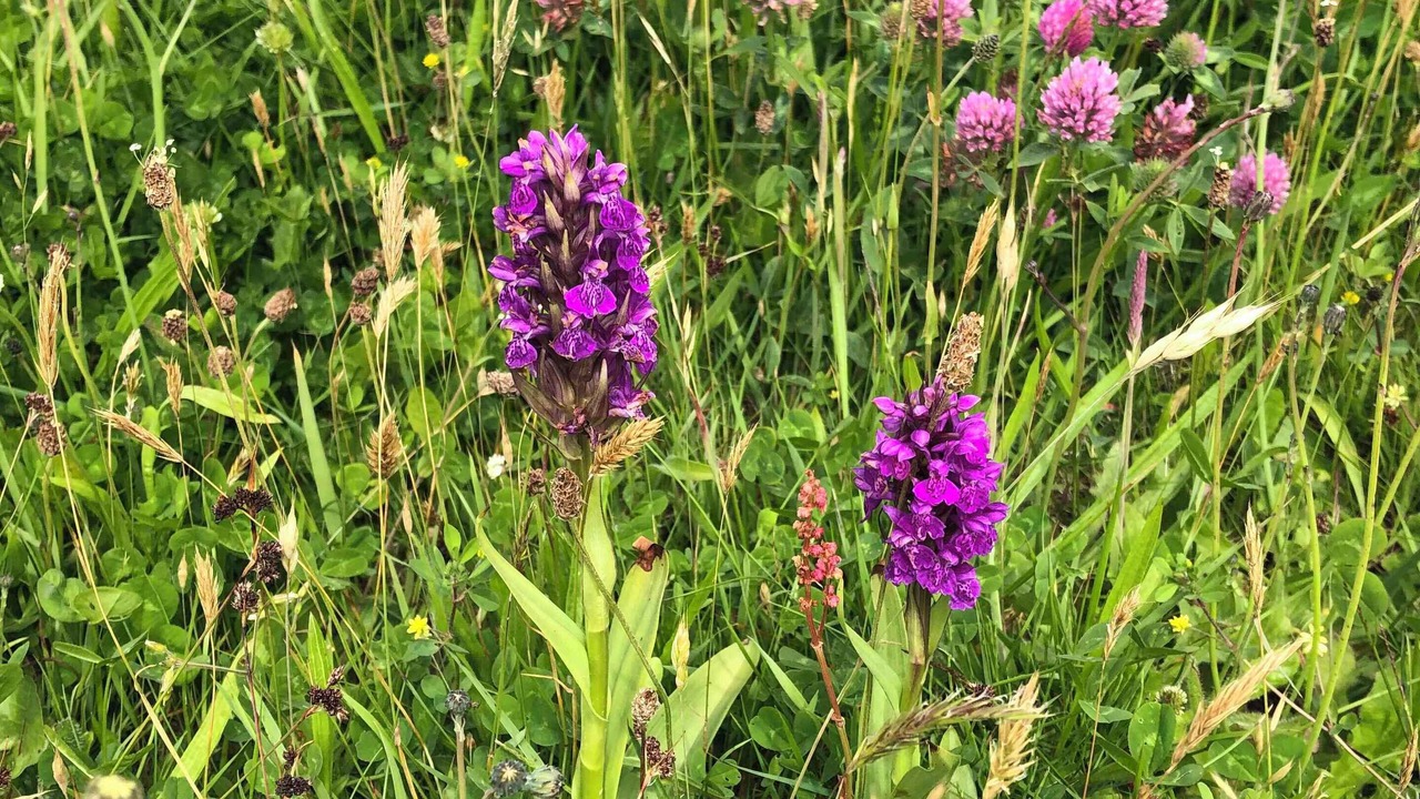 Photo of Outdoor in Lemvig