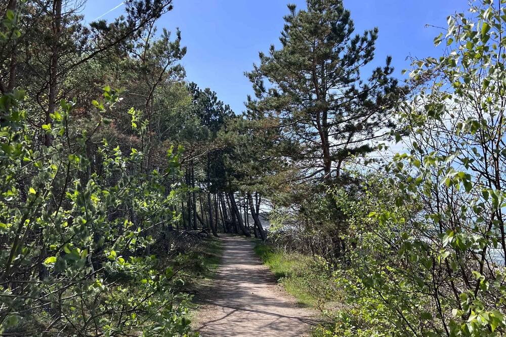 Photo of Others in Hornbaek