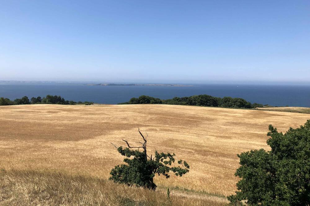 Photo of Others in Horve