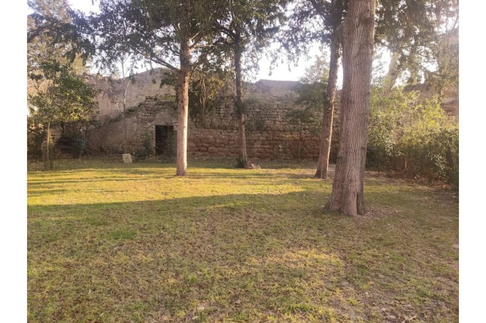 Photo of Outdoor in Courthezon