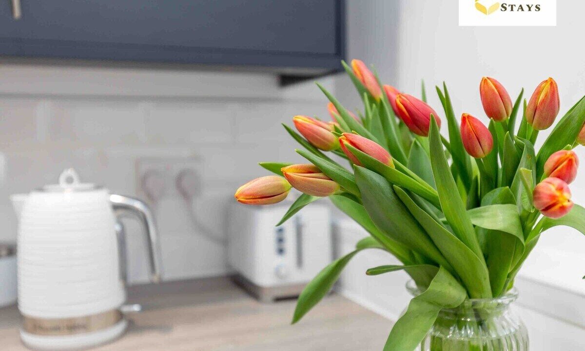 Photo of Others in Northampton