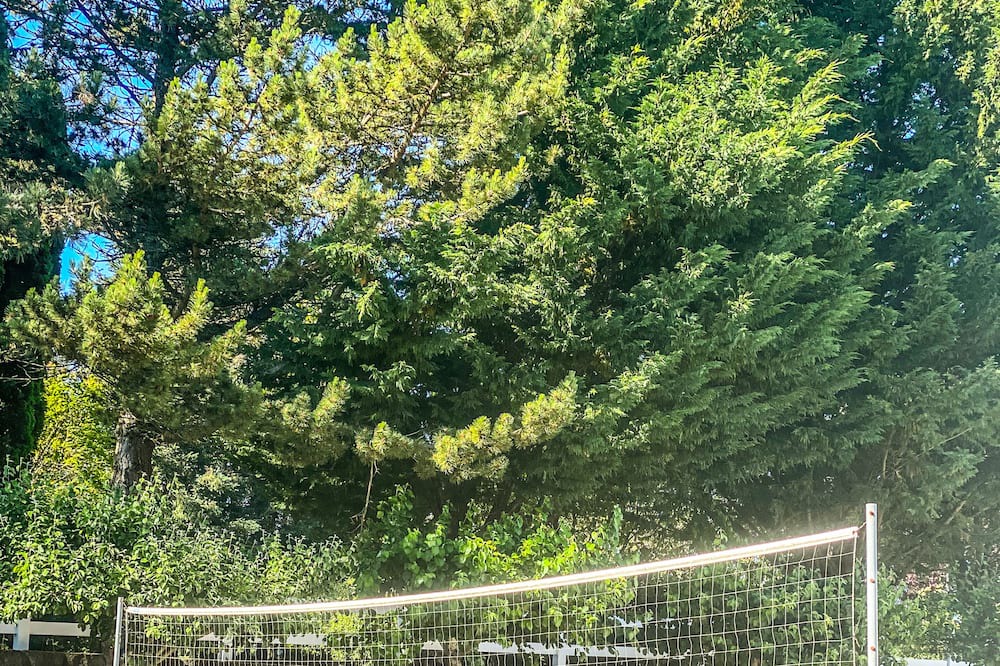 Photo of Others in Brush Prairie