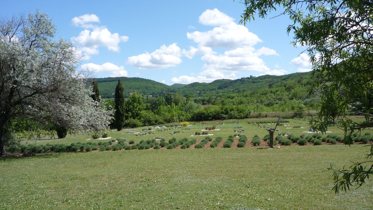 Photo of Outdoor in Rochefort-en-Valdaine