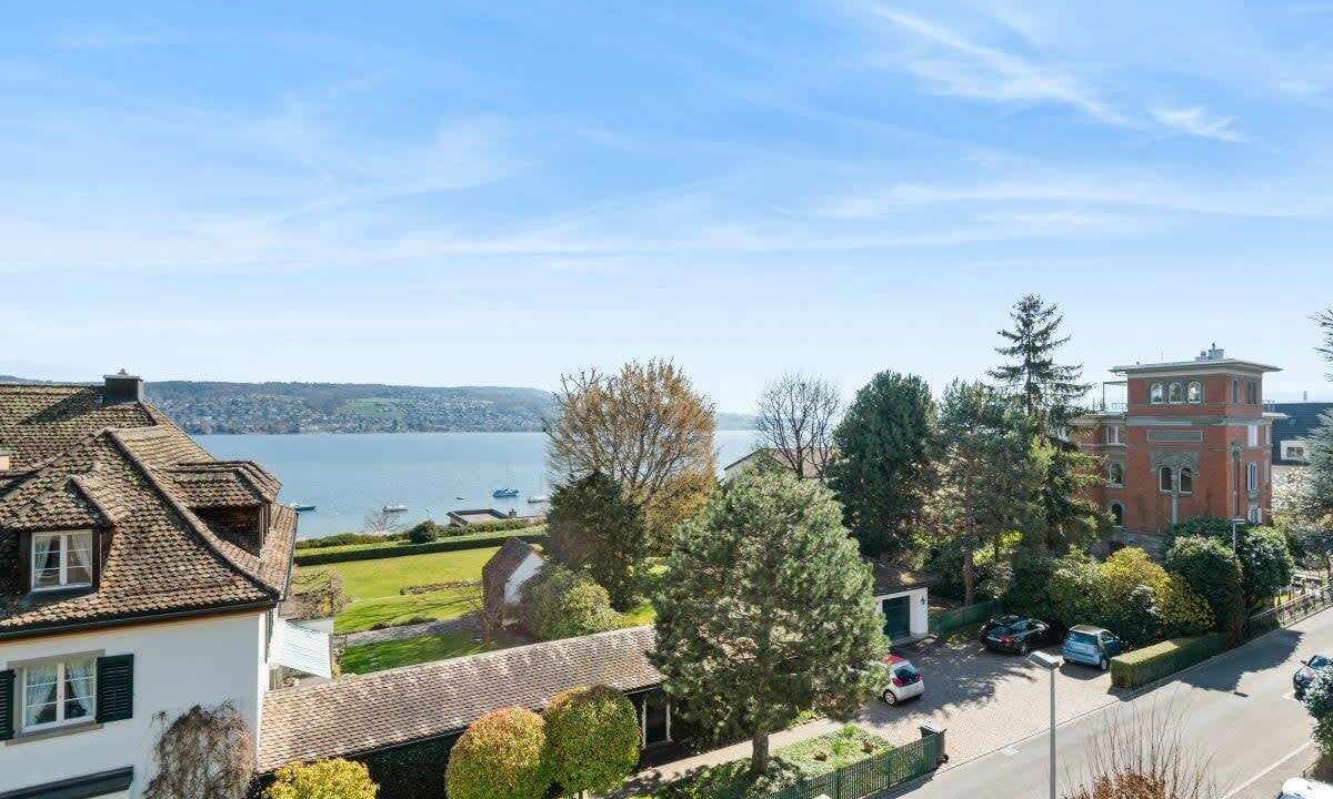 Photo of Others in Horgen District
