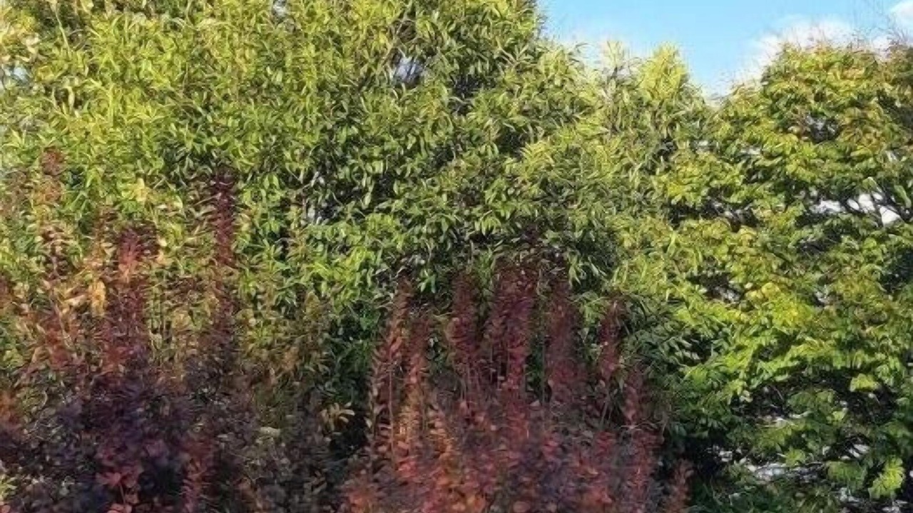 Photo of Outdoor in Vibeuf