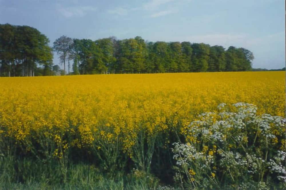 Photo of Outdoor in Lintot