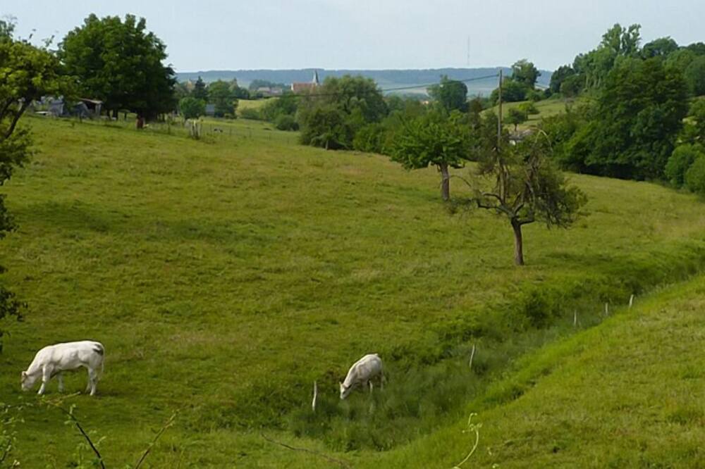 Photo of Outdoor in Bully