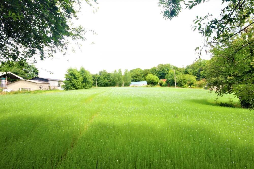 Photo of Others in Saint-Jouin-Bruneval