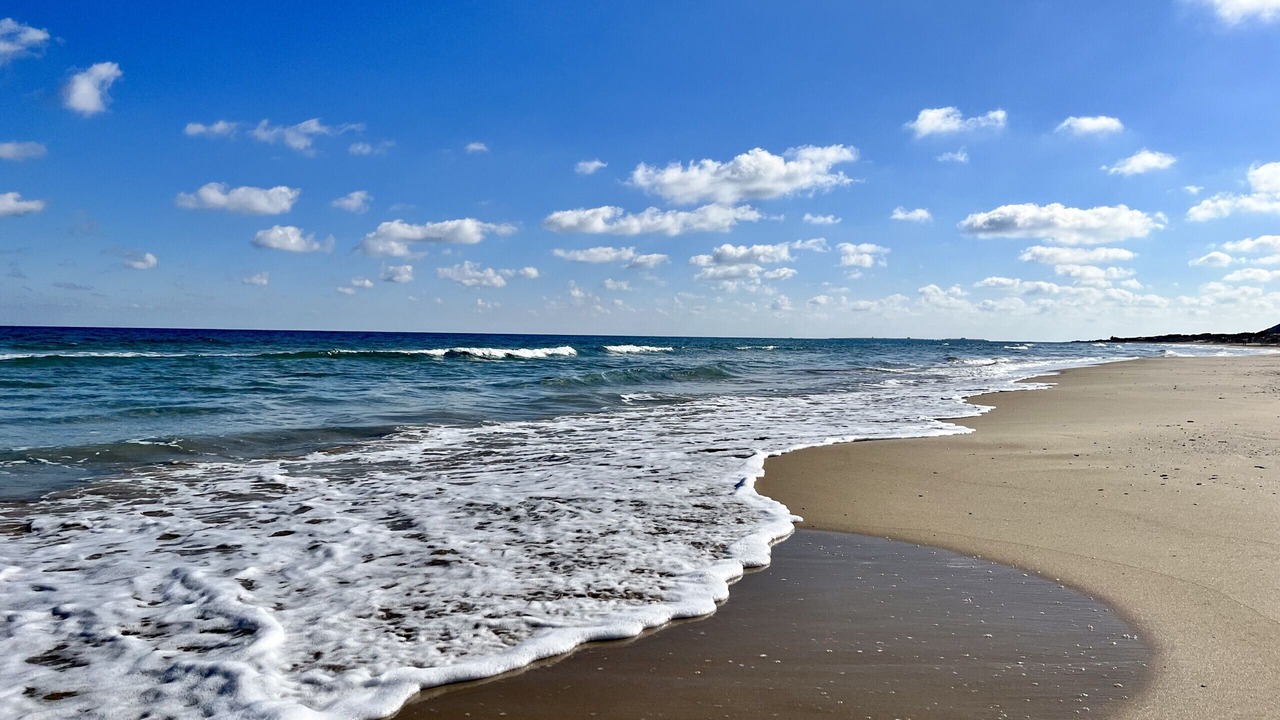 Photo of Others in Los Arenales del Sol