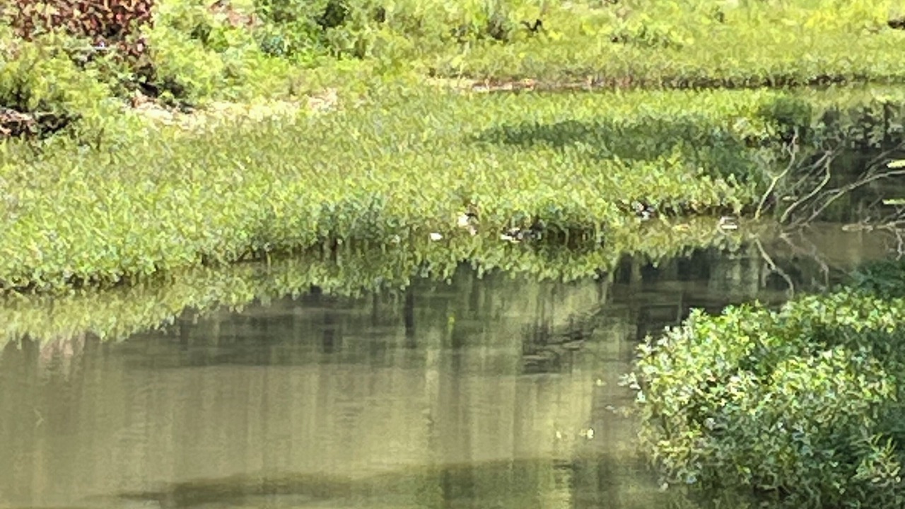 Photo of Outdoor in Hatfield