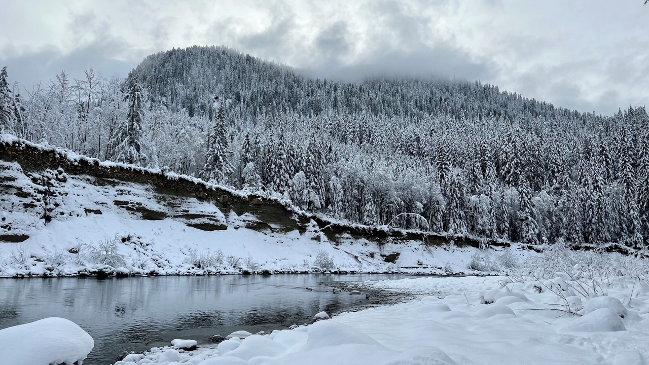 Photo of Others in Verlot