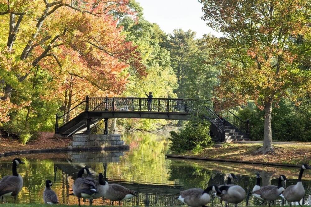 Photo of Outdoor in Washington Park