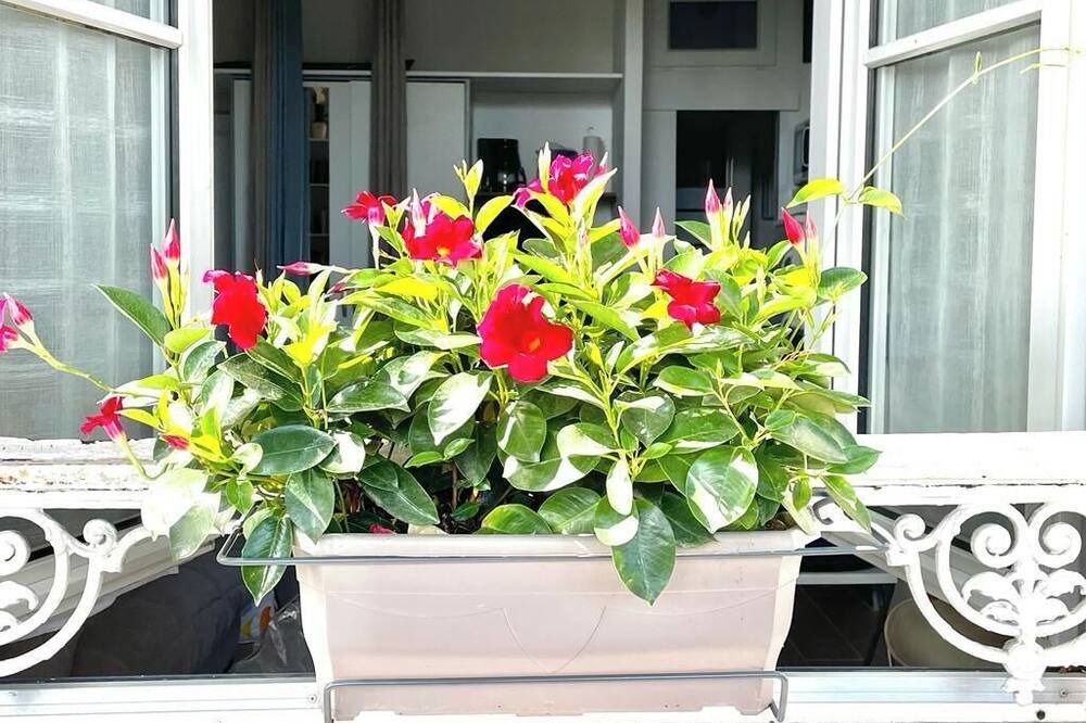 Photo of Outdoor in Bourgogne