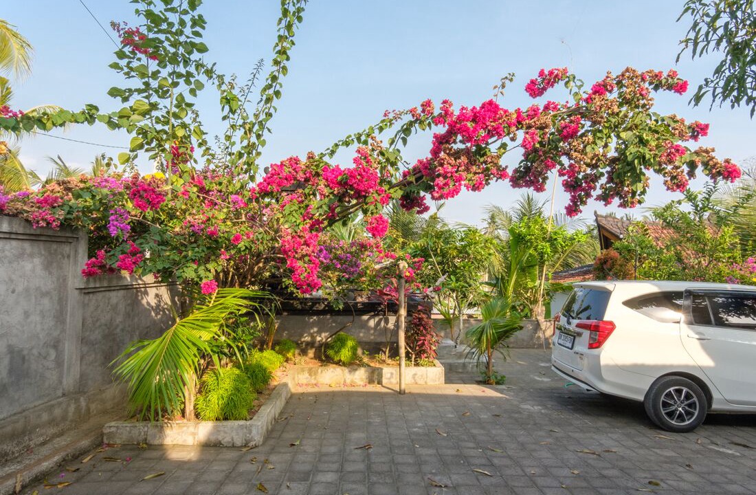 Photo of Others in West Selemadeg